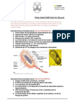 DOCUMENTO CARACTERÍSTICAS DE CÉLULAS