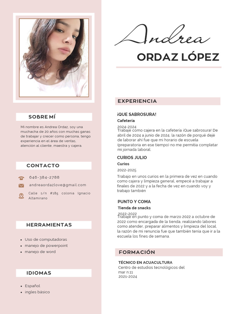 Currículum Vitae CV Diseñadora y Arquitecta Minimalista Rosa_20250825 ...