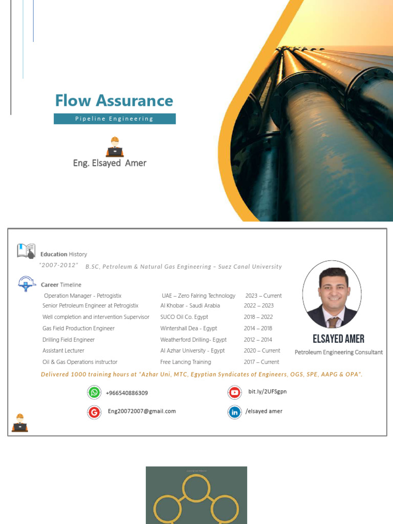Flow Assurance in Petroleum Engineering | PDF | Corrosion | Wax