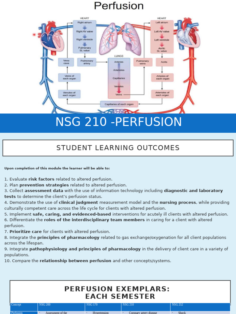 Understanding Altered Perfusion in Nursing | PDF | Myocardial ...