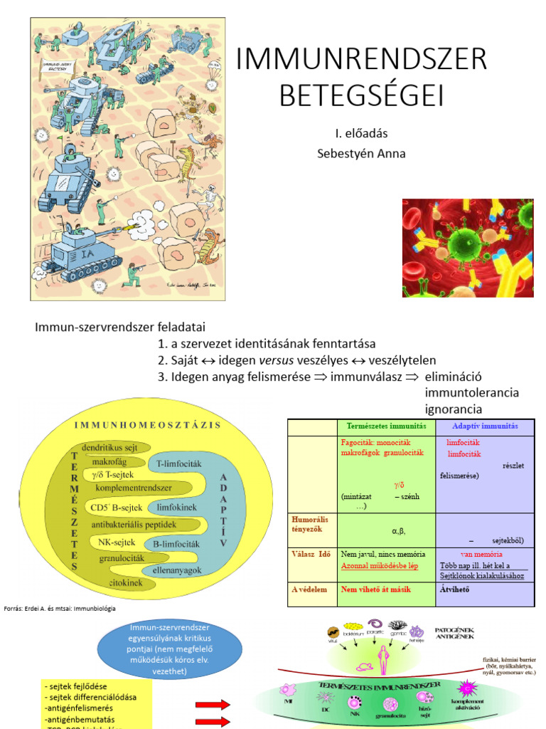 FOK Hypersensitivitas SA | PDF