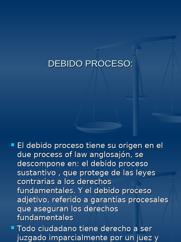 Conceptos Clave del Debido Proceso | PDF | Debido al proceso | Ley común