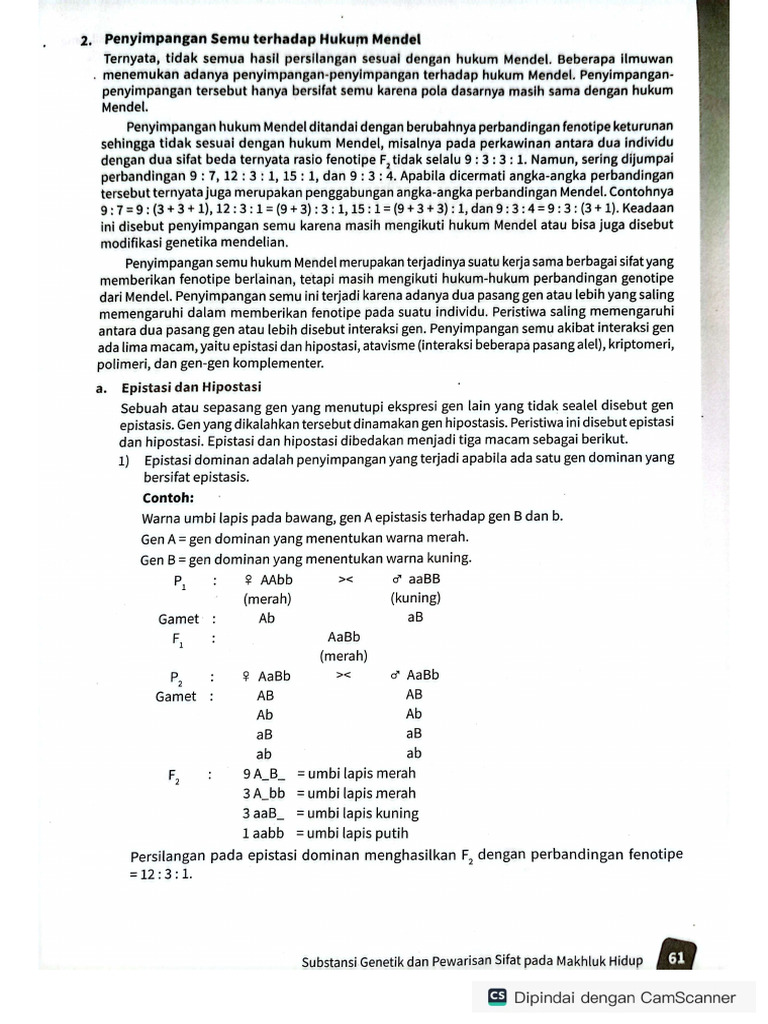 Penyimpangan Semu Hk. Mendel | PDF
