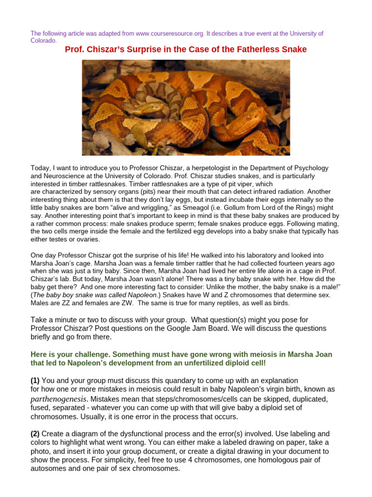 Parthenogenesis in Timber Rattlesnakes | PDF | Snake | Sex