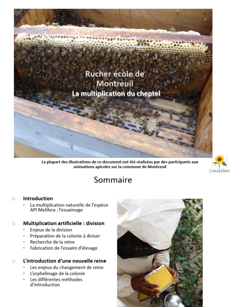 Multiplication du cheptel apicole à Montreuil | PDF | Apis (insecte ...