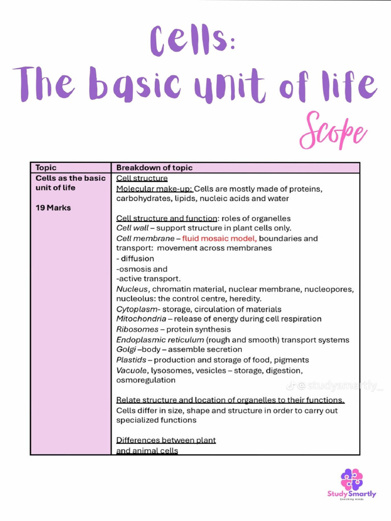 The Basic Unit of Life - Cell 31-Oct-2025 17-34-59 | PDF