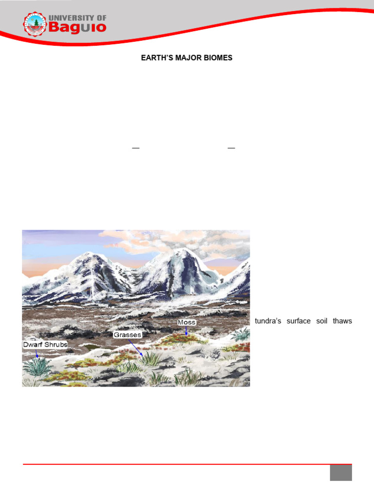 Lesson 7 Earth's Major Biomes | PDF | Forests | Plankton