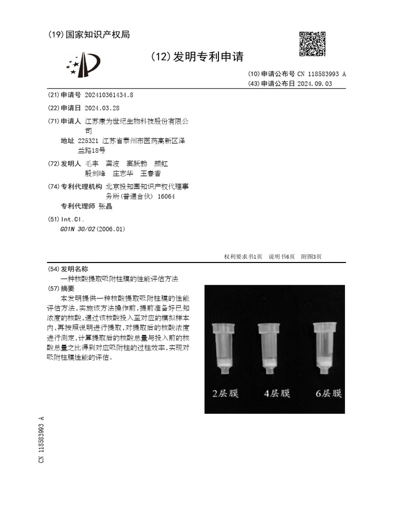 CN 118583993 A | PDF