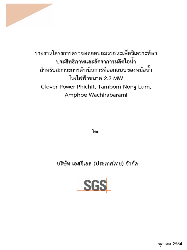 Performance Report SGS | PDF