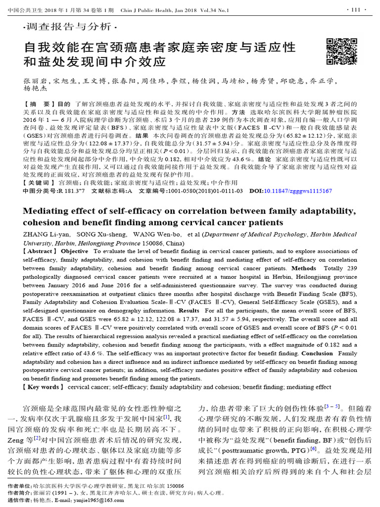 Mediating Effect of Self-Efficacy On Correlation Between Family ...