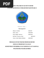 Download LAPORAN PRATIKUM UJI MUTU BENIH Kelompok Kemurnian Fisik Benih Inpari by tulus SN98021130 doc pdf