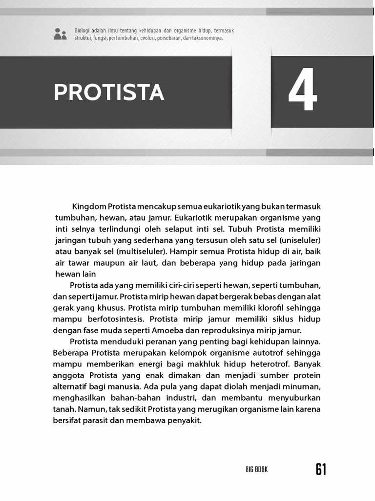 Protista Dan Jamur | PDF
