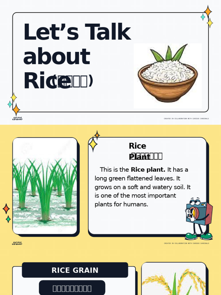 Rice Lesson - K.3 | PDF