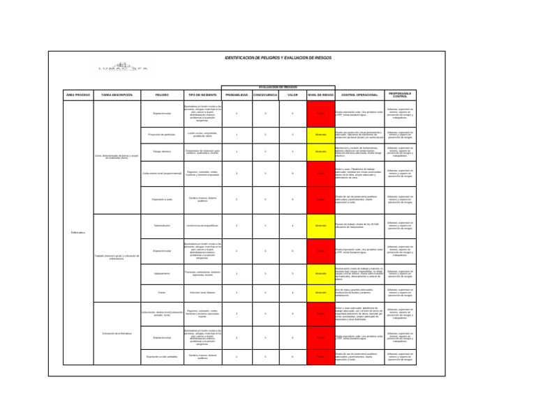 Matriz 2024 | PDF | Enfermedades y trastornos | Especialidades Medicas