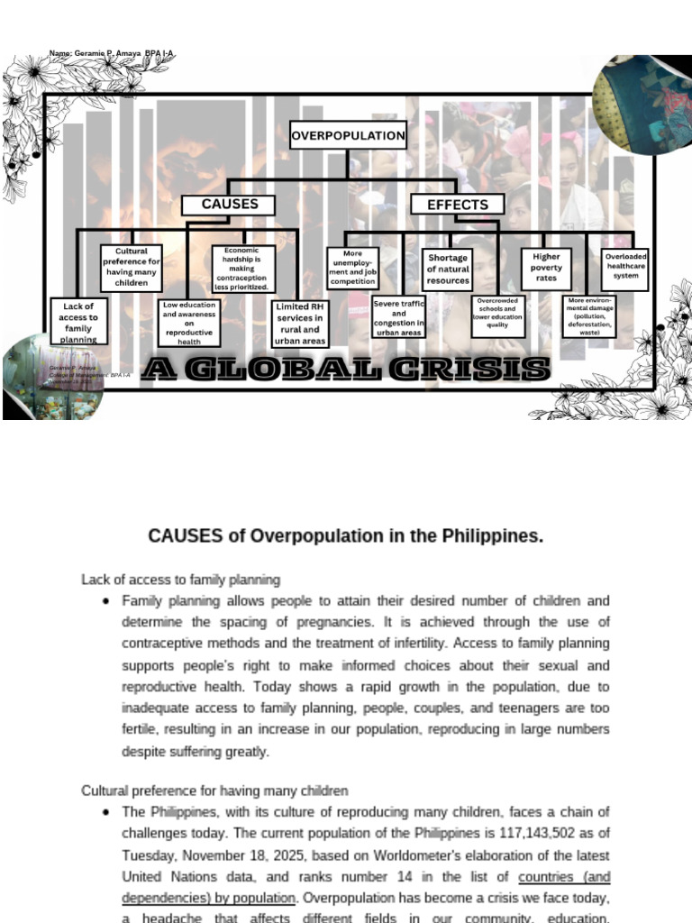 Organizational Chart- Overpopulation_ Amaya Geramie (1) | PDF | Family ...