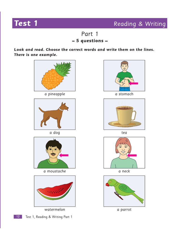 Reading & Writing Test Guide | PDF