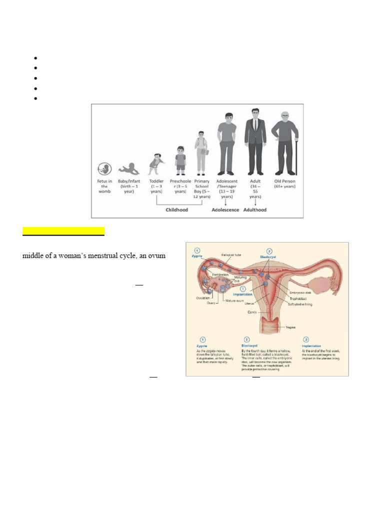 UNIT 2 CAD | PDF | Puberty | Adolescence