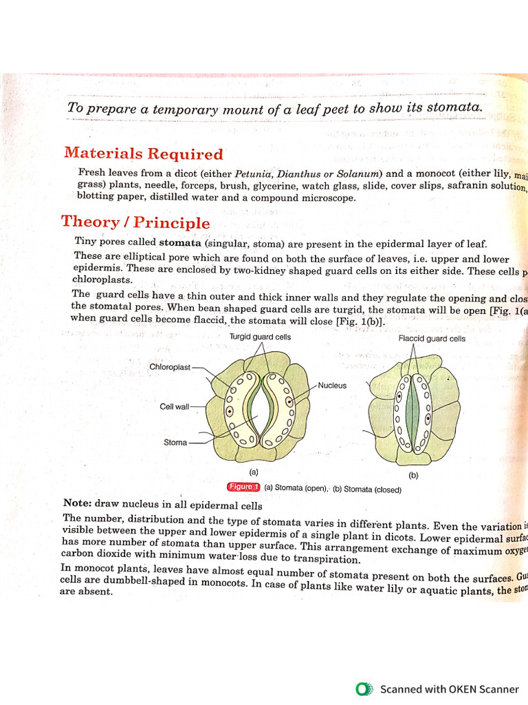 10th Bio Practical | PDF