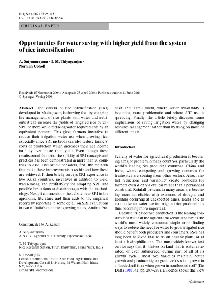 Water-Saving Strategies in Rice Farming | PDF | Rice | Agriculture
