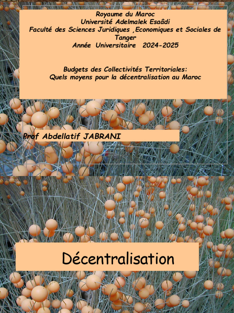 Décentralisation et Budgets au Maroc | PDF | Audit | Audit financier