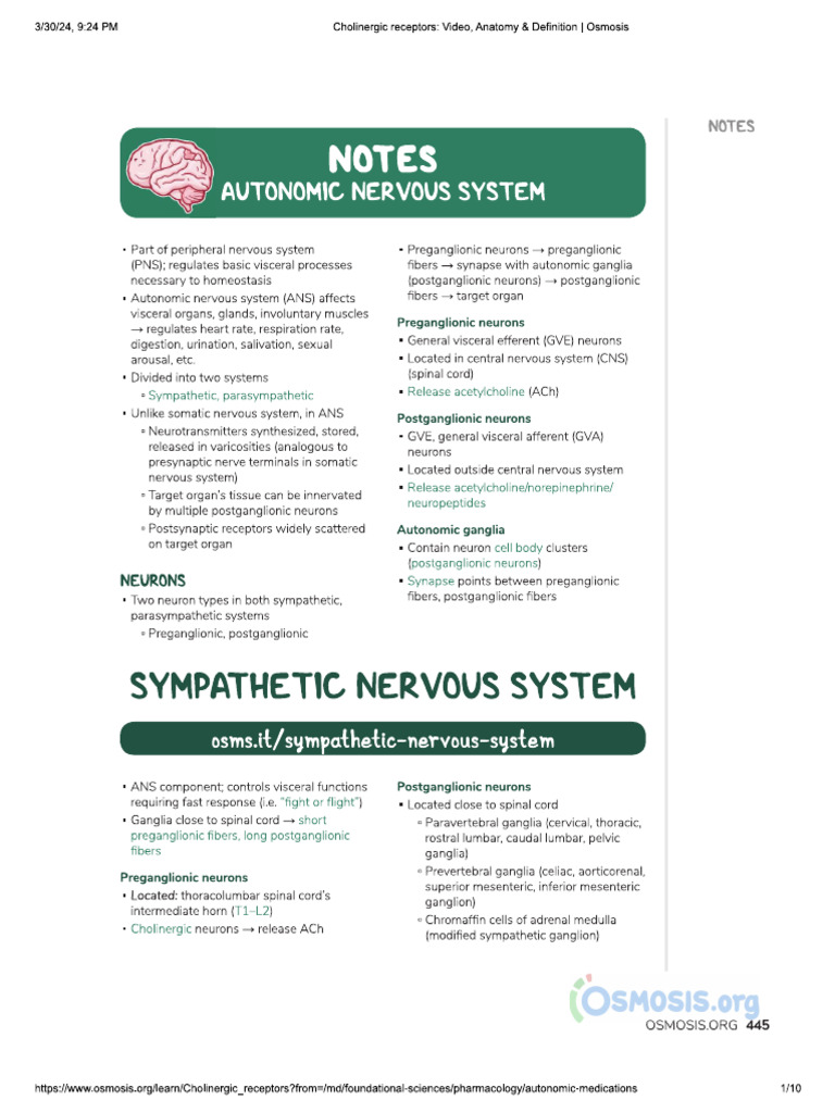 ANS Drugs Osmosis PDF Notes | PDF