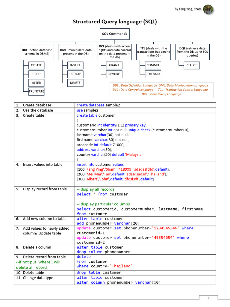 Master SQL in 16 Pages | PDF | Sql | Programming Paradigms