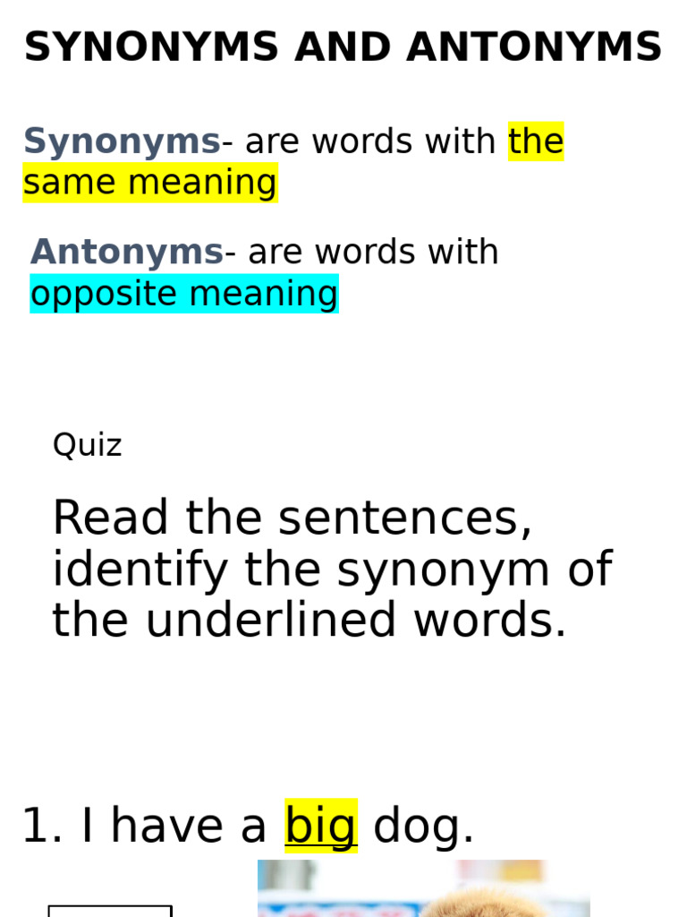 Understanding Synonyms, Antonyms, and Text Types | PDF | Rainbow | Cakes