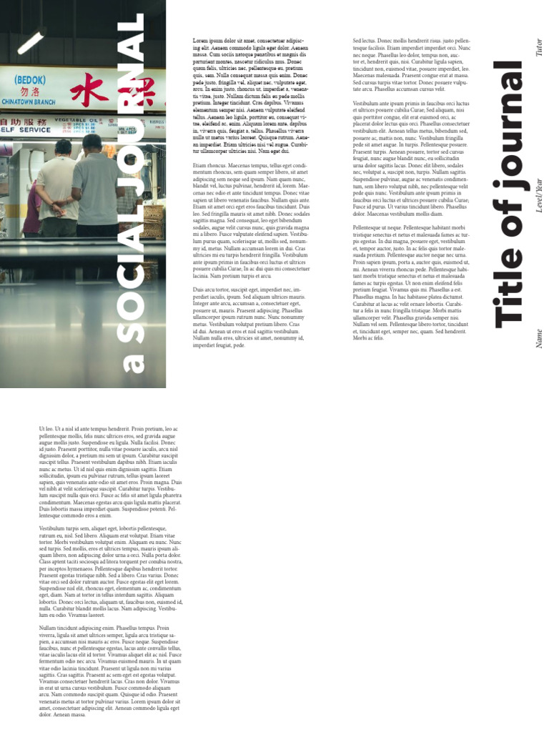 Social Journalzine Sample (For Ref) | PDF