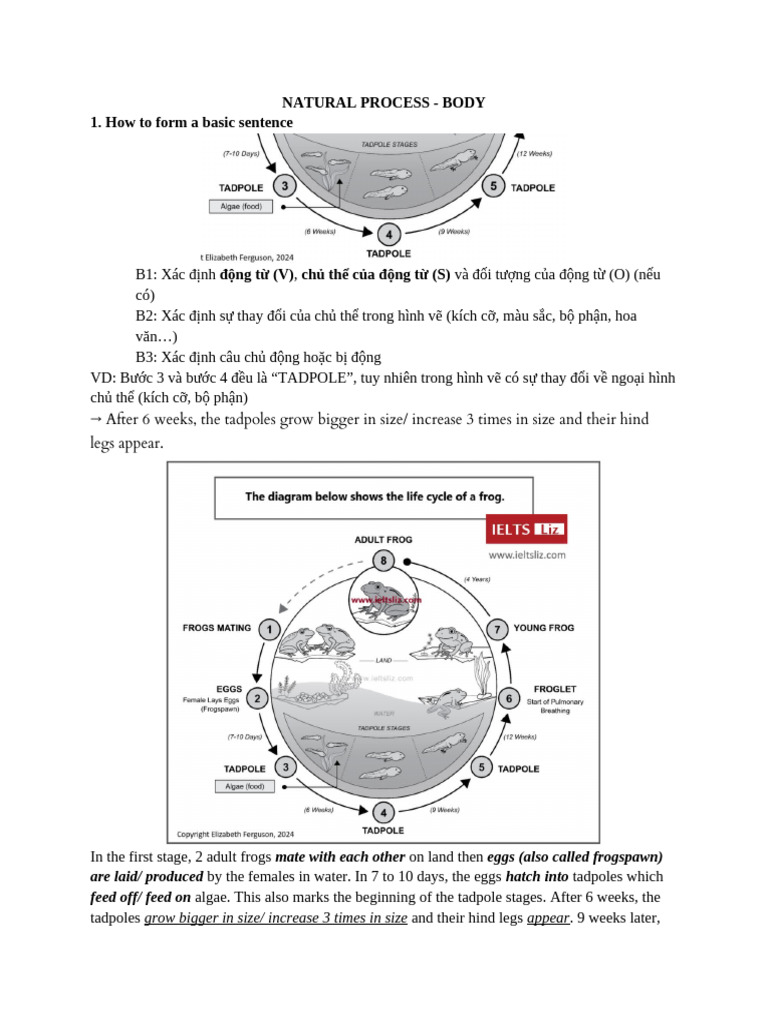 Natural Process - Body | PDF | Frog | Amphibious Organisms