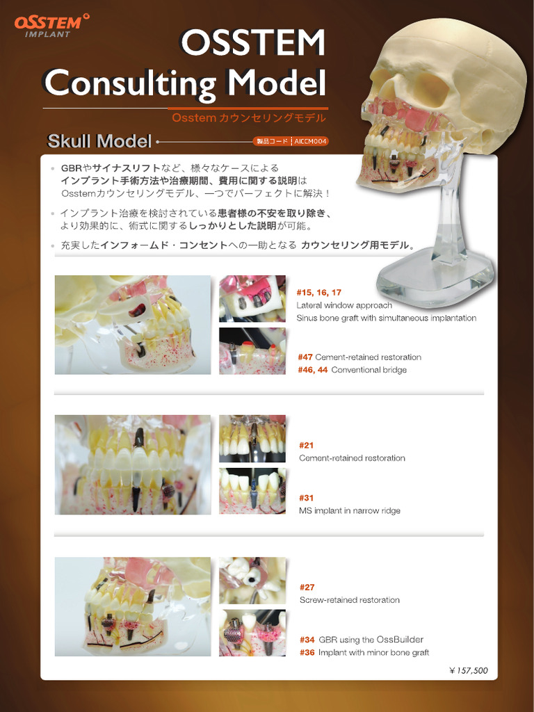 Consulting Model | PDF