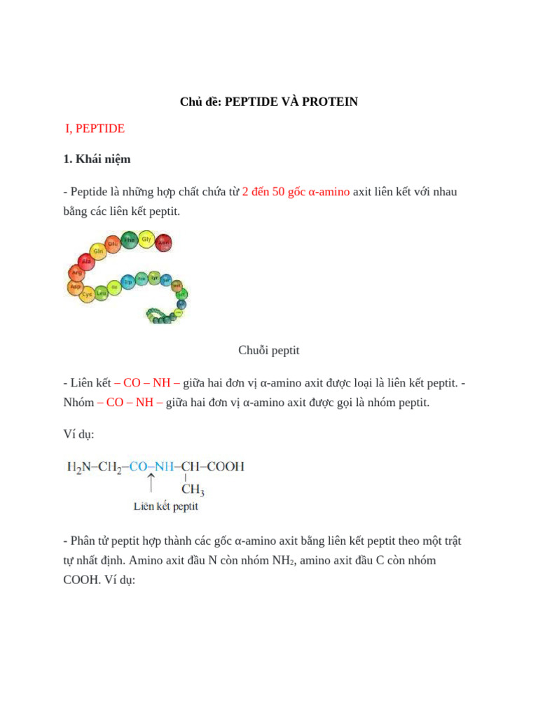 Peptide Và Protein | PDF