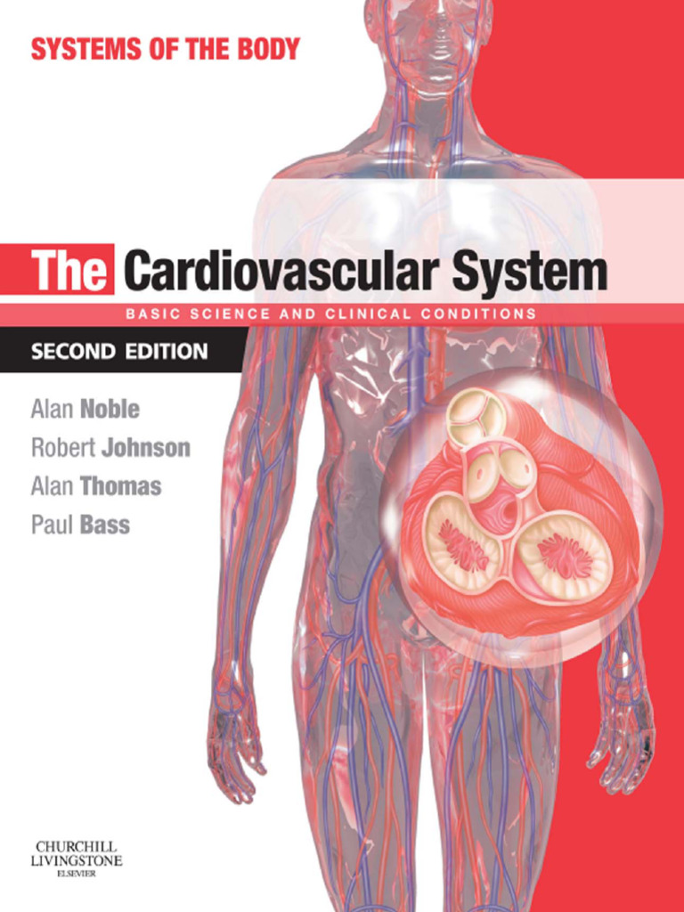 Understanding the Cardiovascular System | PDF | Heart | Circulatory System