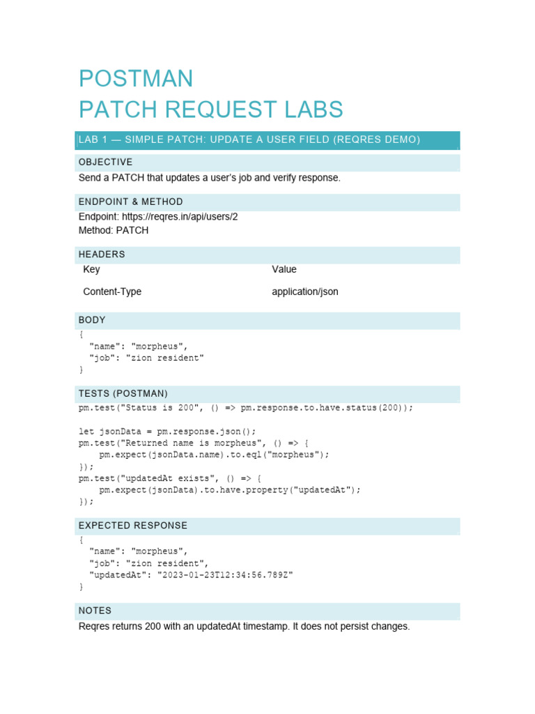 Patch Lab Exercises | PDF | Software | Information Technology