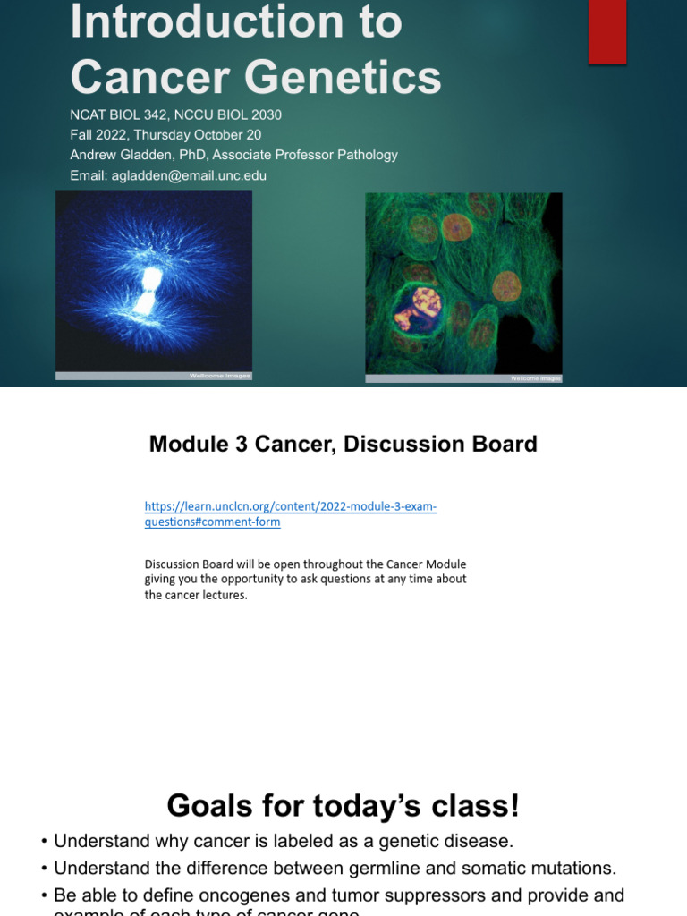 Introduction to Cancer Genetics Module | PDF | Mutation | Cancer