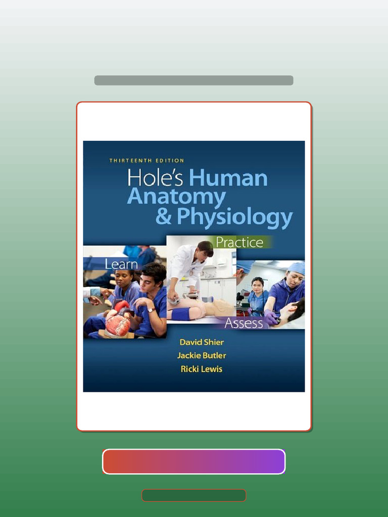 Test Bank for Holes Human Anatomy Physiology 12th Edition | PDF ...