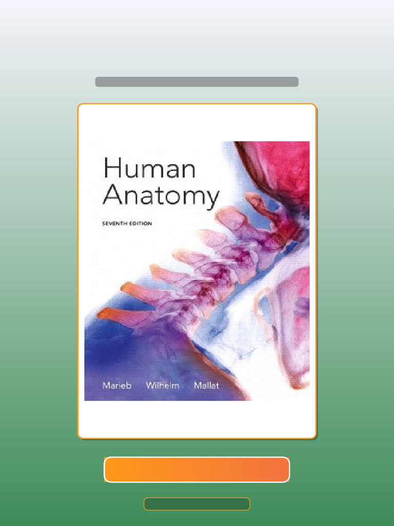 Test Bank for Human Anatomy 7th Edition Marieb | PDF