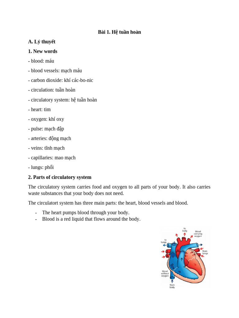 Lesson 1 the Circulatory System - Lý Thuyết | PDF