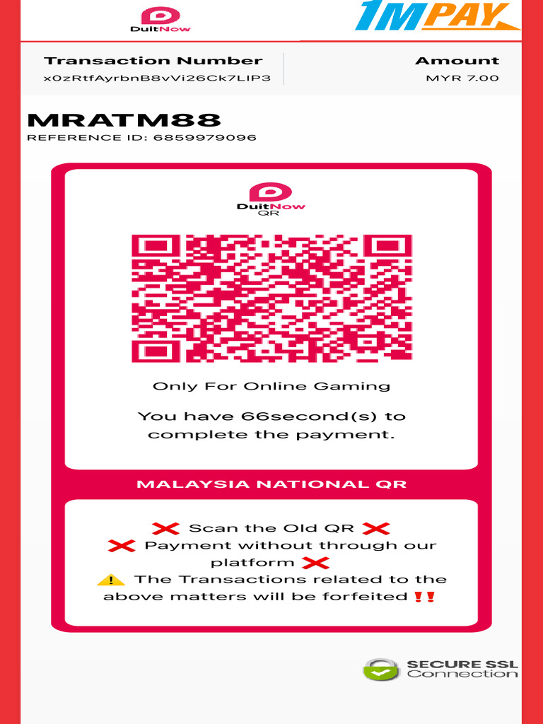 Malaysia QR Payment Instructions | PDF