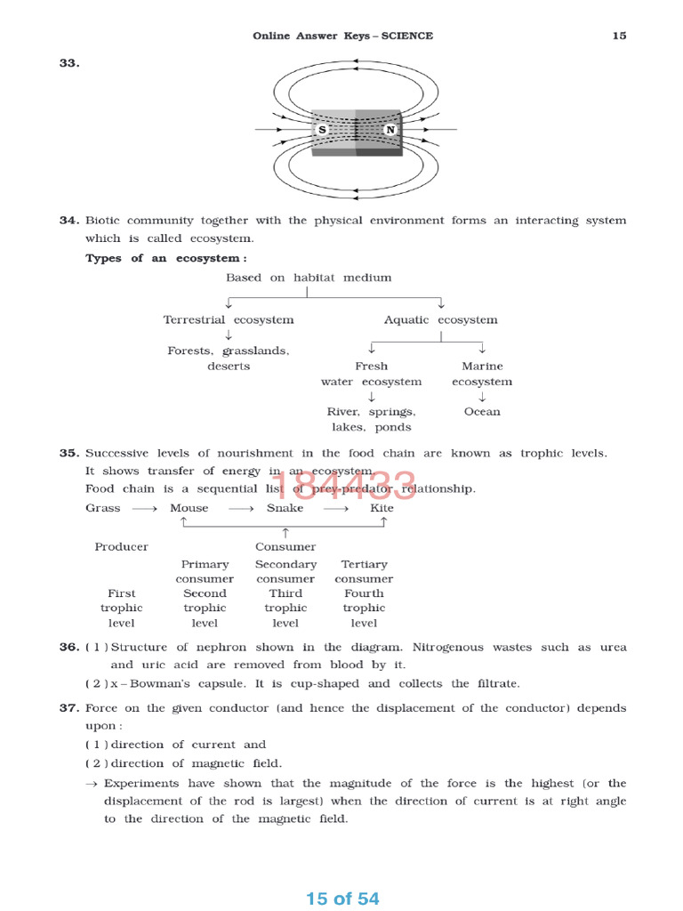 Science 15 20 | PDF