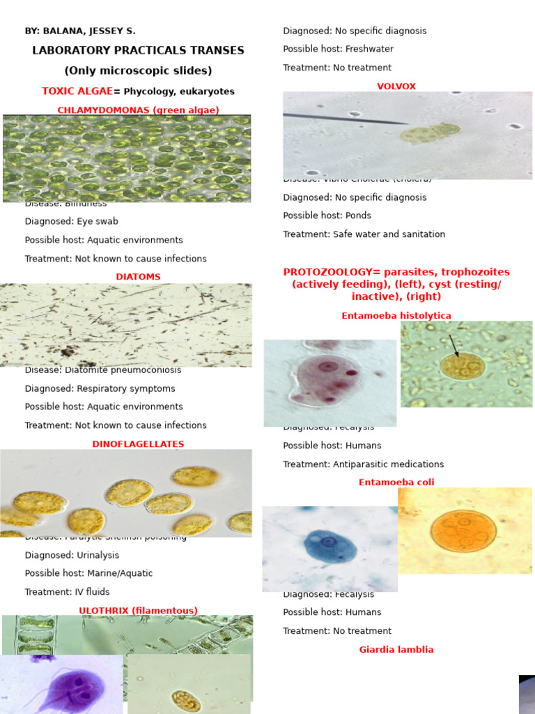 Microscopic Algae and Parasite Diseases | PDF | Parasitology | Microbiology