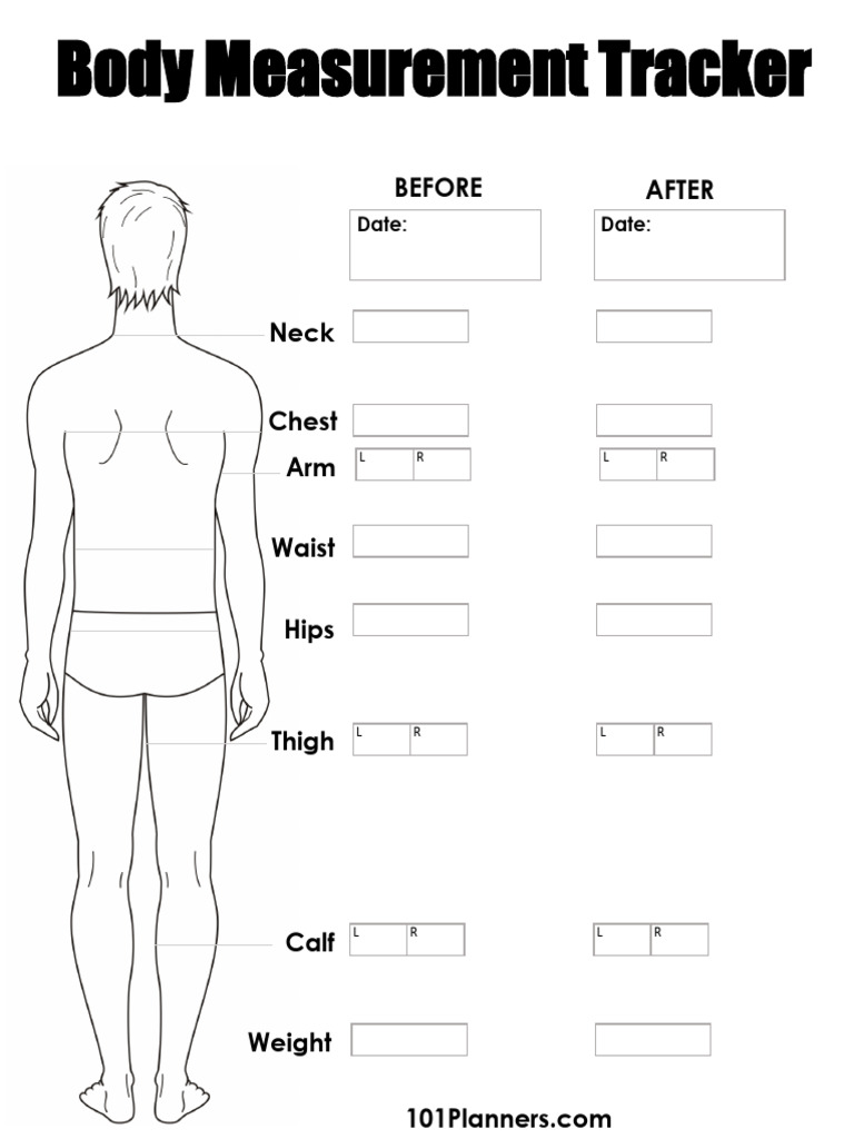 Body Measurement Tracker Template | PDF