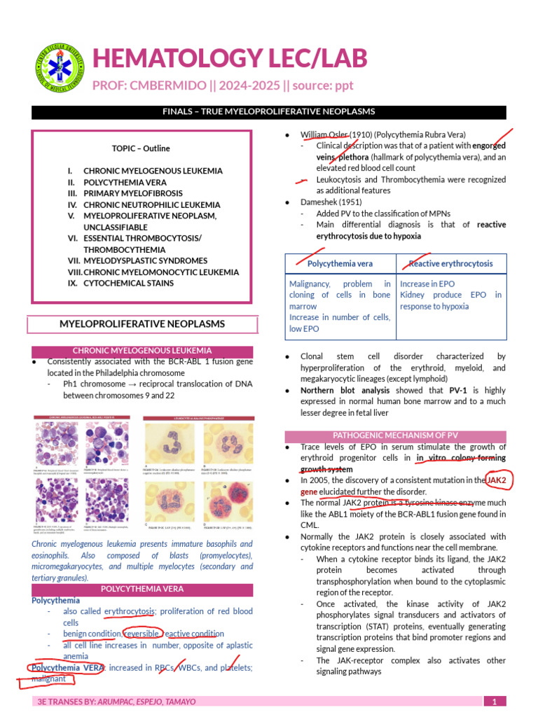 [F4] True Myeloproliferative Neoplasms W_ Discussion | PDF | Diseases ...