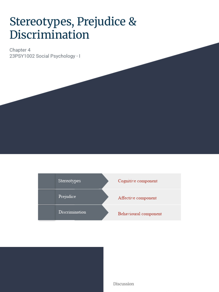 Understanding Stereotypes and Prejudice | PDF | Prejudices | Stereotypes