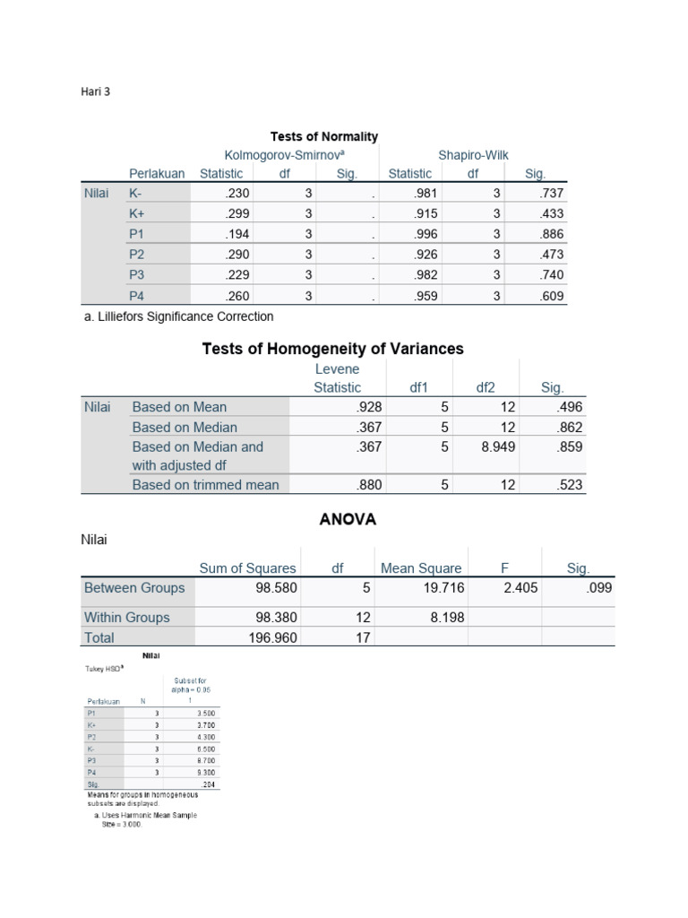 Rini | PDF