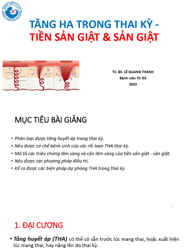 TSG - SG | PDF