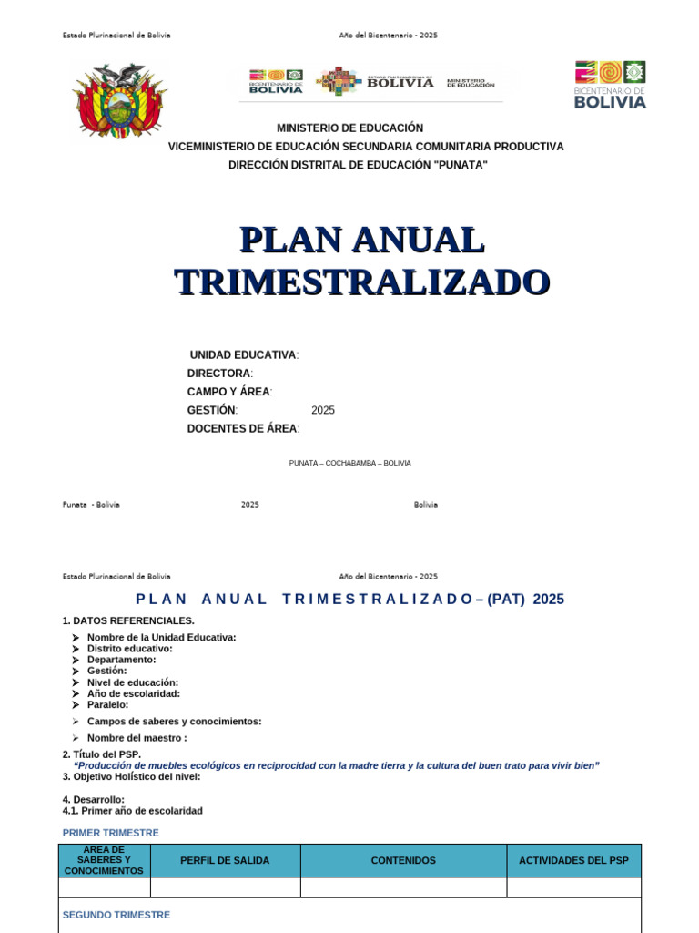 Plan Anual Educativo 2025 Bolivia | PDF