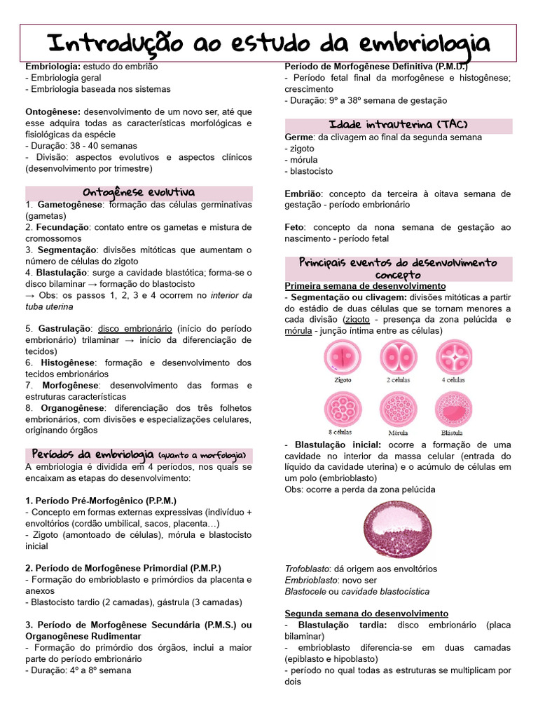 Introdução à Embriologia e Ontogênese | PDF | Embrião | Placenta