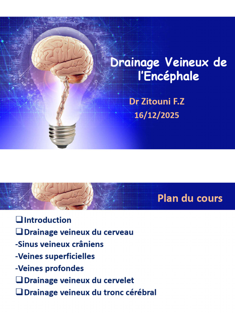 Drainage veineux de l'encéphale expliqué | PDF | Anatomie humaine ...
