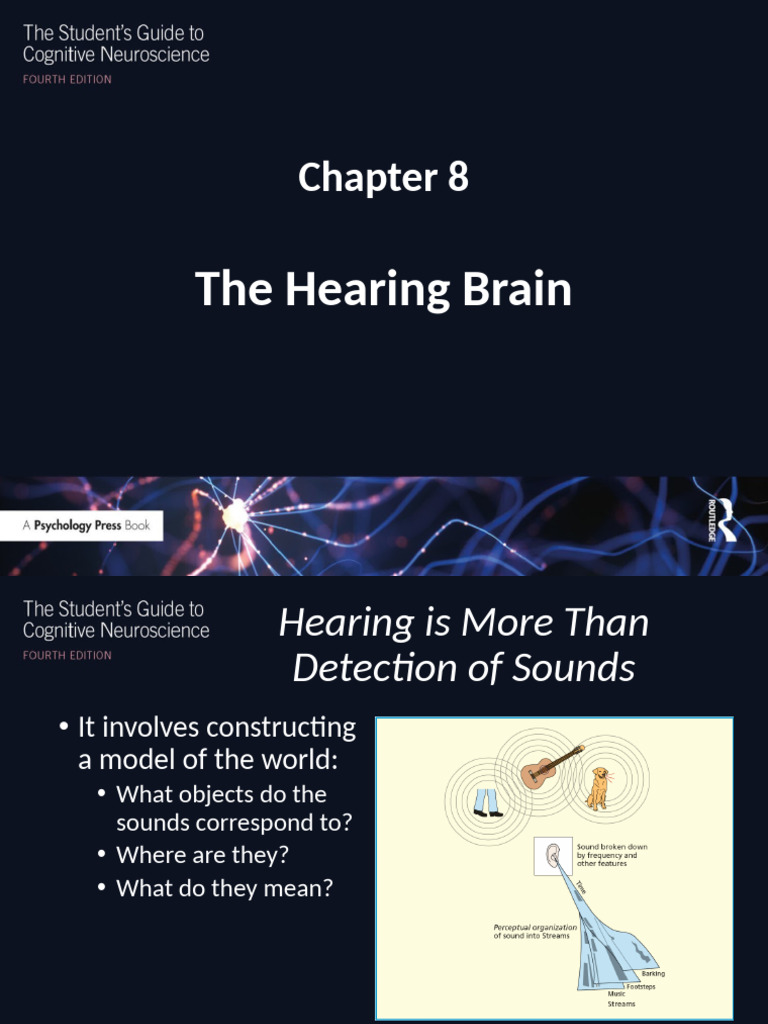 Understanding the Hearing Brain | PDF | Auditory System | Speech