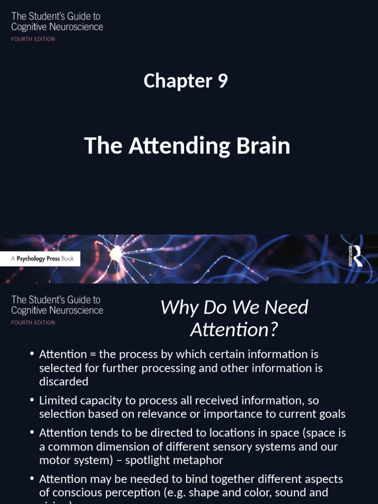 Understanding Attention in the Brain | PDF | Attention | Perception